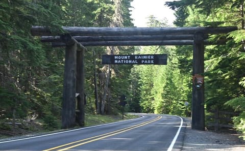 Private Full-Day SUV Tour of Mt Rainier National Park