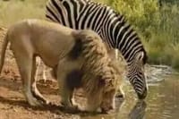 Jeep Safari Zanzibar Island 3 Day Private Tour 8