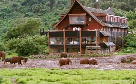 Private 2-Day Safari Experience in Aberdares National Park