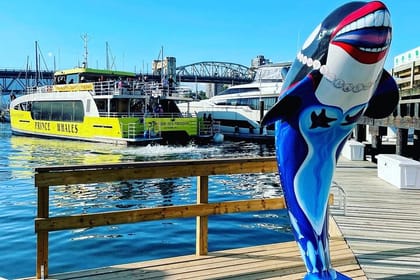 Vancouver Whale Watching Adventure with City tour