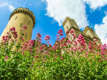 Private Day Trip to Arundel Castle from London