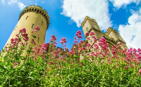 Private Day Trip to Arundel Castle from London