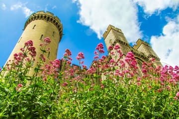 Private Day Trip to Arundel Castle from London