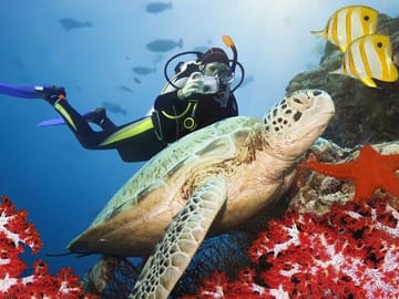 Scuba Diving Adventure in Kuşadası with Professional Guide