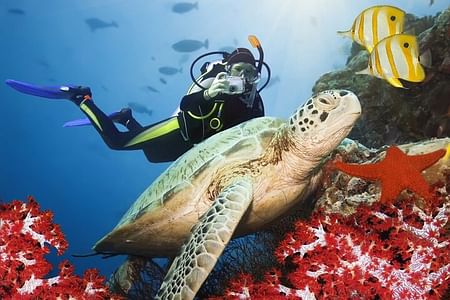 Scuba Diving Adventure in Kusadasi with Expert Instructor & Transfer