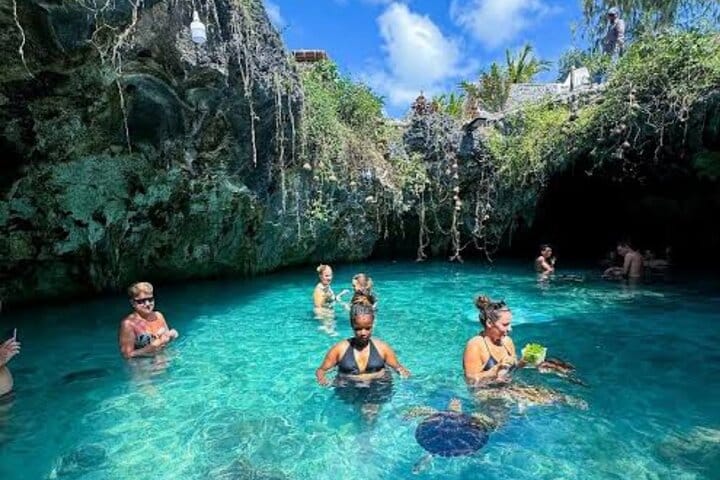 Swimming with Horses Experience on the Beach in Zanzibar