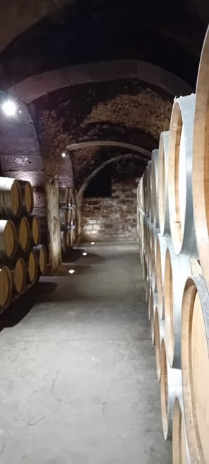 Three Day Rioja Wine Experience - Photo 28
