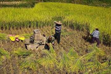 Li River Cruise Yangshuo Yulong River Biking Day Tour