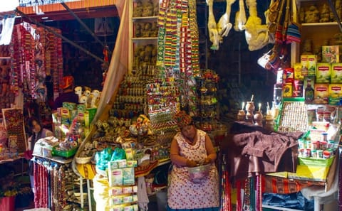 Walking Tour of La Paz Historic Center and Cable Car Ride