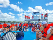 Saona Island Catamaran Tour from Bayahibe beach 7
