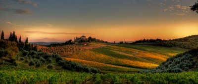 Aerial view of the typical Tuscan countryside with vineyards and olive groves