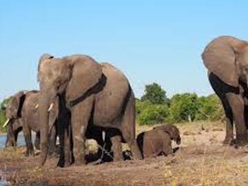 Three-Day Safari Adventure in Tissamaharama, Sri Lanka
