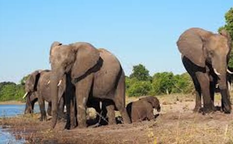 Three-Day Safari Adventure in Tissamaharama, Sri Lanka