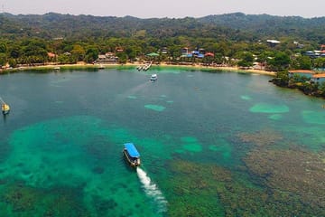 Glass Bottom Boat Tour and Wildlife Experience in West Bay