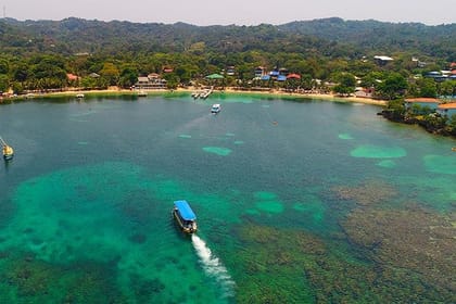 Glass Bottom Boat, Sloth – Monkey Park & West Bay Beach