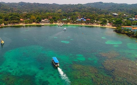 Glass Bottom Boat Tour and Wildlife Experience in West Bay