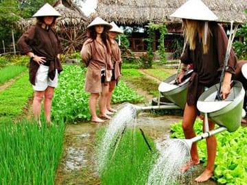 Hoi An Adventure: Explore Tra Que Village and Cooking Class