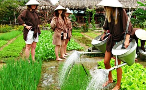 Hoi An Adventure: Explore Tra Que Village and Cooking Class