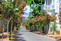  Istanbul: Princes Islands Tour with Hotel Transfer & Lunch 2