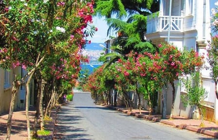 Istanbul: Princes Islands Tour with Heybeliada and Büyükada