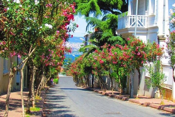  Istanbul: Princes Islands Tour with Hotel Transfer & Lunch 2