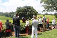 Demonstration of farming