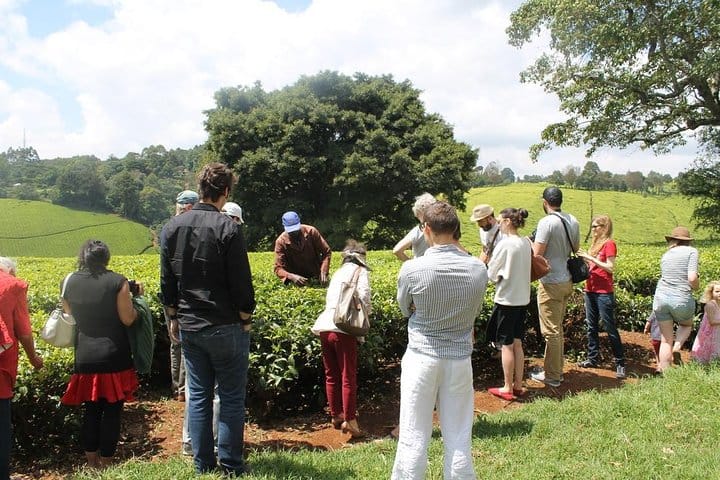 Demonstration of farming