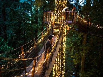 Capilano canyon light