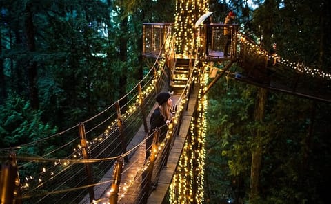 Capilano Canyon and Grouse Mountain Holiday Tour in Vancouver