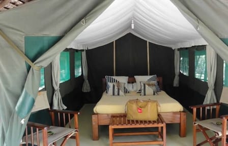 4-Day Budget Safari in Masai Mara and Lake Nakuru, Kenya