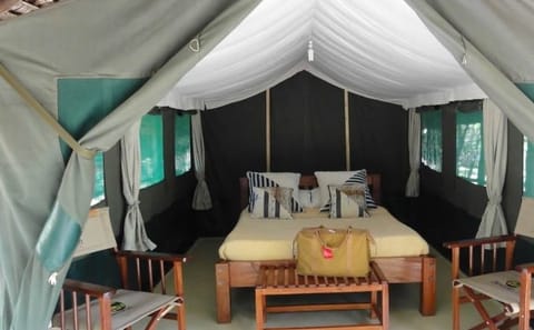 4-Day Budget Safari in Masai Mara and Lake Nakuru, Kenya