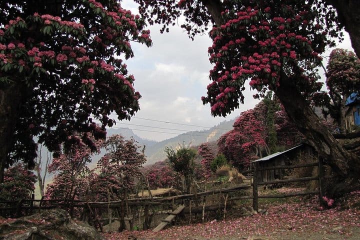 19 Days Mera Peak Climbing & Expedition – One Life-Changing Himalayan Adventure