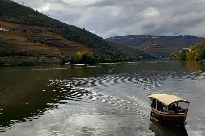 DOURO VALLEY: Premium Wine Tour, Lunch at Winery & Private Cruise