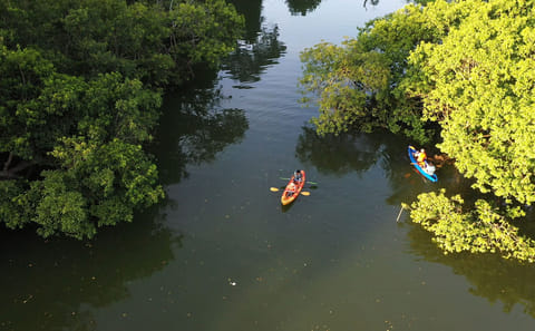 Ba Be Lake Camping and Kayaking Adventure in Vietnam