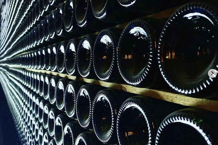 Vineyard tour