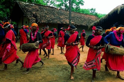 Vizag to Nagpur Tribal Communities & Tiger Safari