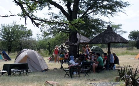 4-Day Camping Safari in Tanzania: Lake Manyara to Serengeti