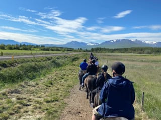 Horse Riding Tour and Explore Scenery in Gásir Akureyri, photo 16