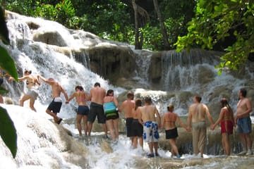 Dunn's River Falls and Luminous Lagoon Tour from Montego Bay