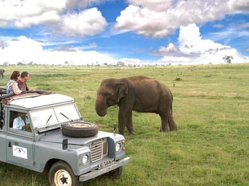 Elephants crossing at saffari
