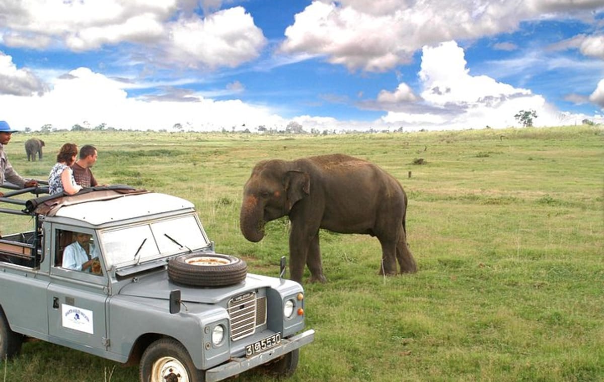 Udawalawe National Park Adventure