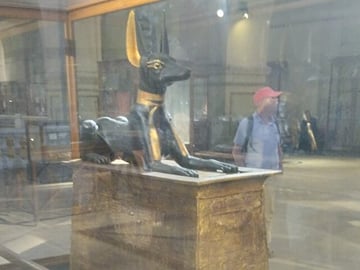 Private Half Day Tour to Old Egyptian Museum Tahrir Square