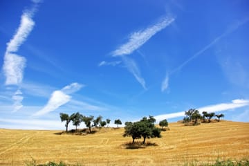 Private Full-Day Tour of Évora and Estremoz from Lisbon