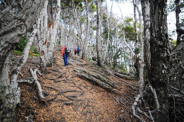 Hiking and Canoeing in Tierra del Fuego National Park, Ushuaia