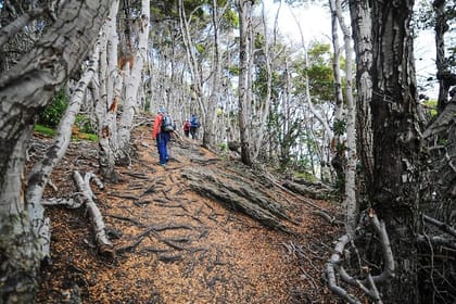 Tierra del Fuego National Park Hike and Canoe Tour