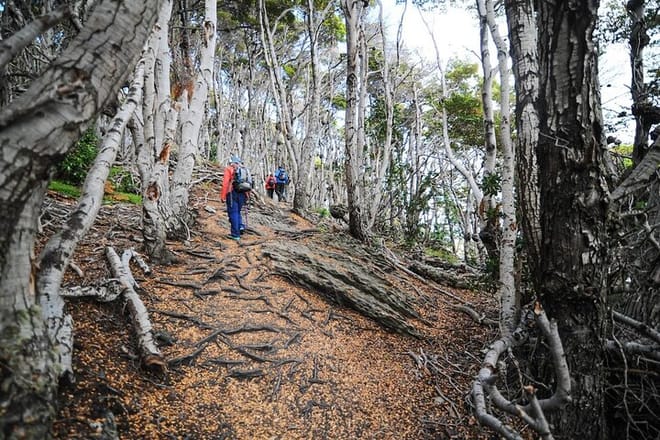 Tierra del Fuego National Park Hike and Canoe Tour photo 4