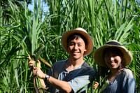 Elephant Sanctuary+Bamboo Rafting+Long Neck Village 4