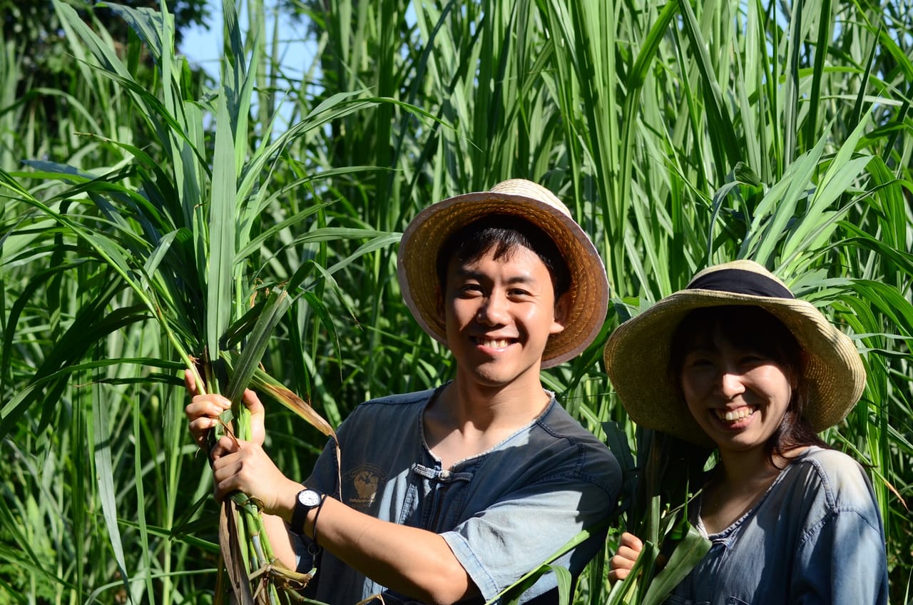 Elephant Sanctuary+Bamboo Rafting+Long Neck Village 4