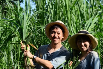 Elephant Sanctuary Visit and Bamboo Rafting in Thailand