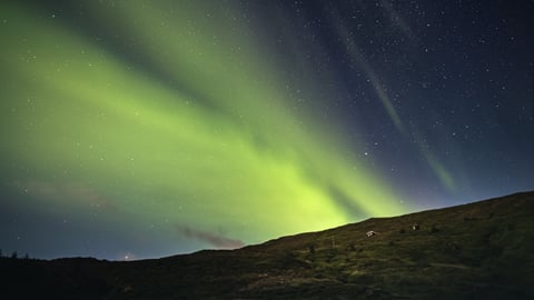 Golden Circle in winter: what changes and what to book
